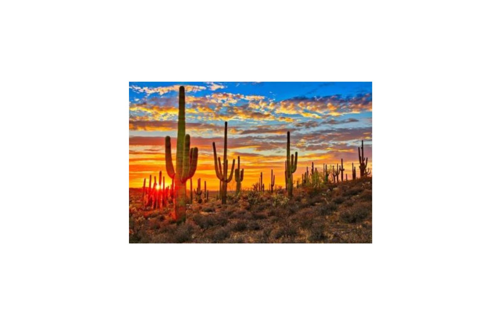 Homes Around The Desert in Palm Desert, CA 92260 760898...